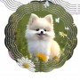 how to find Personalized Wind Spinner Metal Wall Sign