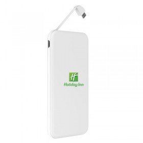 Custom Logo Power Banks