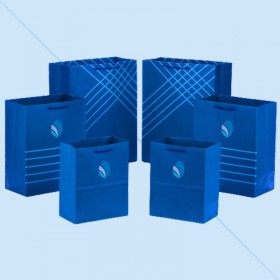 Christmas Cellophane Bags with Logo Custom Reusable Bags