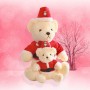 Santa Custom Plüsch Teddybär Personalisierte Plüschtiere Weihnachtsgeschenk für Kinder