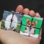 personalized colorful rubik's cube with your pet china supplier