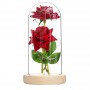 선물 상자가있는 유리 돔에 2 개의 꽃이있는 Galaxy Rose