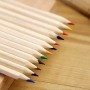 Wooden Colored Pencils