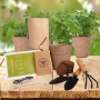 promotional gift box oF succulents gift with brand US