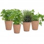 promotional gift hydroponic grow kits with brand US