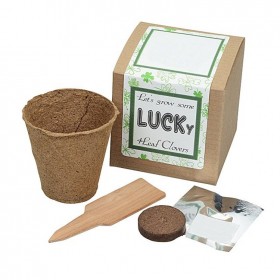 Degradable Pulp Cup