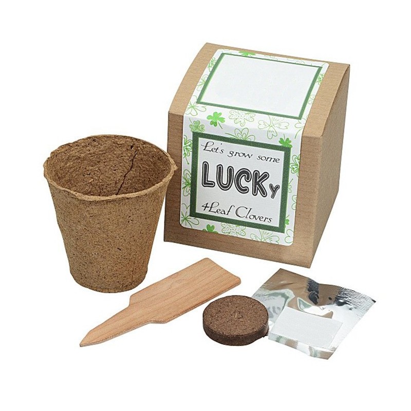 Degradable Pulp Cup