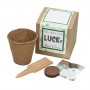 Degradable Pulp Cup