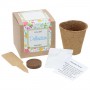 wholesale home sunflower growing kit With brand in USA