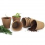 promotional gift cactus growing kit with brand US