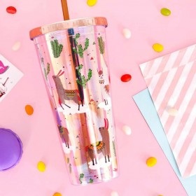 Plastic Insert Straw Cup Double Layer Office Coffee Drink Cup