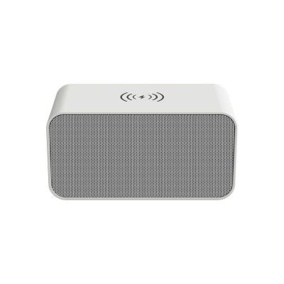 custom portable speaker eco gift