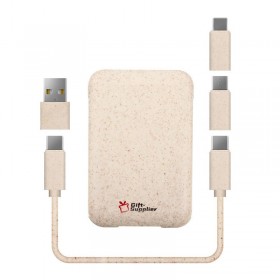 Custom Charging Cable Set