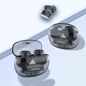 Wireless Audio Earbuds and True Wireless Stereo Earphones