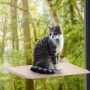 猫の窓のとまり木窓の座席の吸盤-30ポンドまでの体重の猫に360°の日光浴を提供します