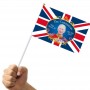double sided house flags custom toothpick flags