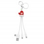 children's birthday gift Personalized 3 in 1 Charging Cable