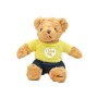 Custom Logo Plush Bear Toys with Removable