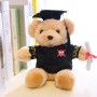 how to buy graduation bear doll doctor