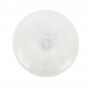 how to find Personalized Frisbees Bulk for Pets & Outdoor Fun