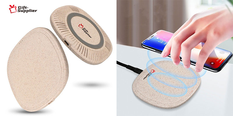 Case Studies: Successful Use of Eco Friendly Gifts