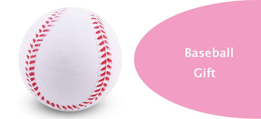 baseball gift sports supplies Gift Guides Sport Events