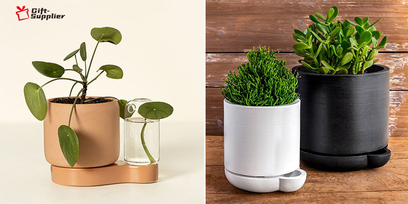 how to personalized Self Watering Planter