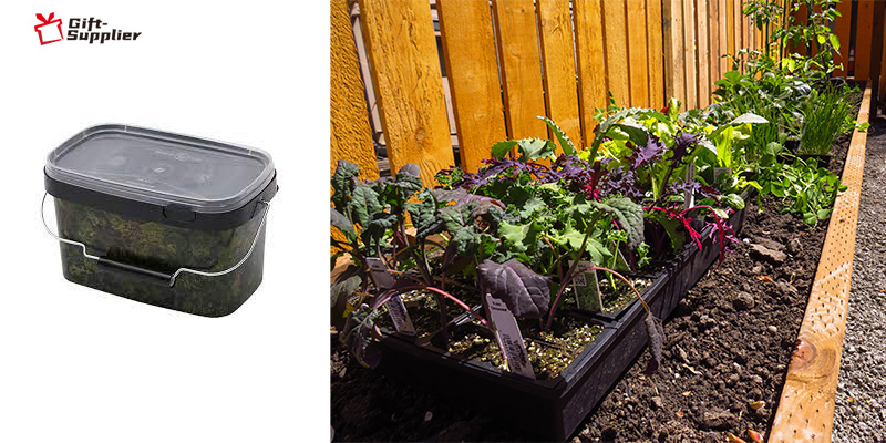 where to buy Containers for your plants
