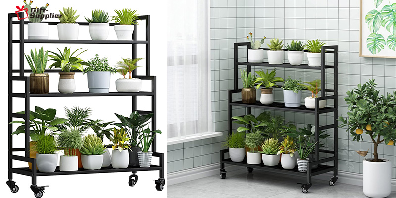 where to buy good quality plant stand