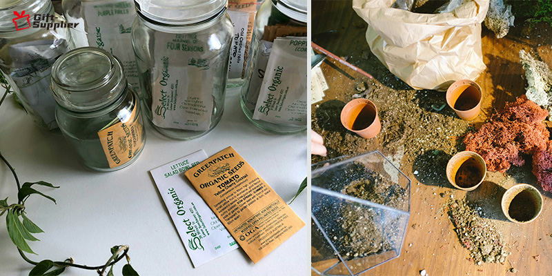 where to buy eco gifts Seed Packets