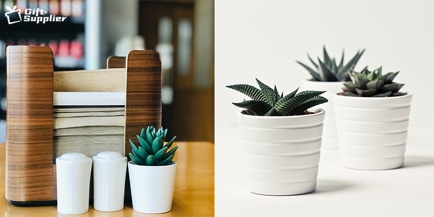 Office gift desktop mini potted plant