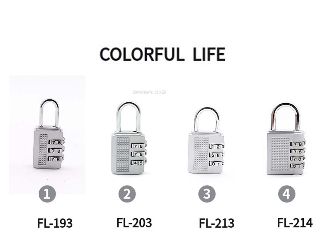 2023 HOT locks padlock for door with brand printed