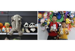 Why stuffed animals is popular among people