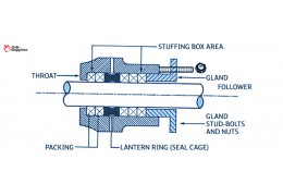 Unveiling the Secrets Expert Insights and Tips on Stuffing Box Packing Demystified