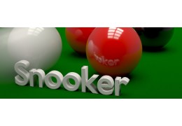 The World Snooker Championship Celebrate this Event of snooker with gift supplier