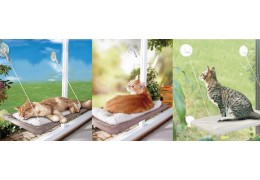 HOW TO USE A CAT PERCH AS A VETERINARY PROMOTIONAL PRODUCT?